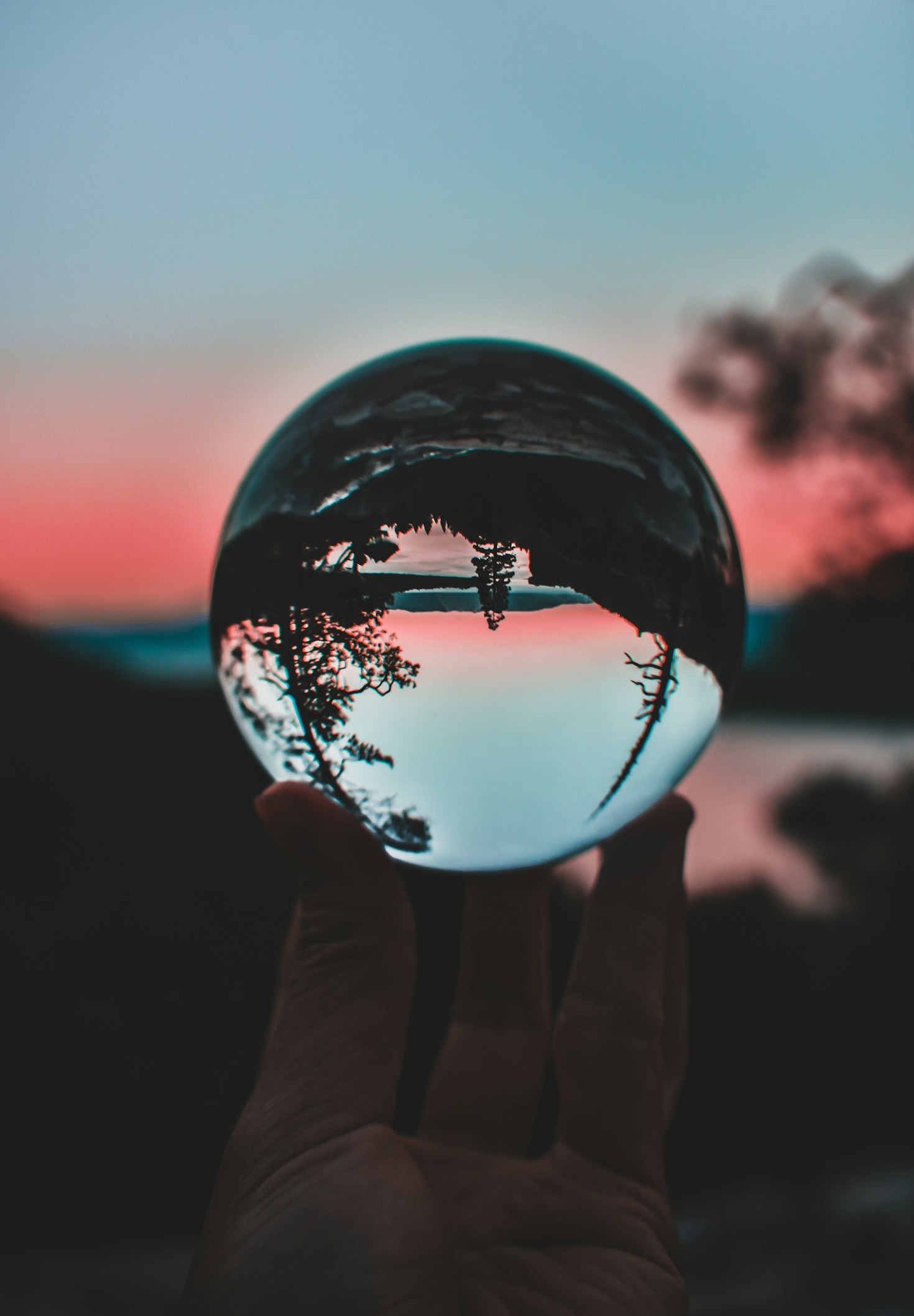 How to Embrace Purpose in Everyday Life
